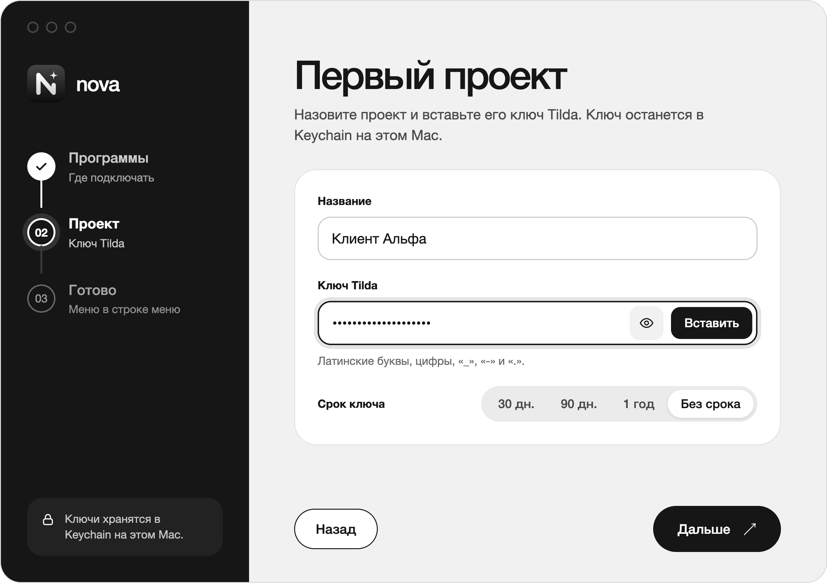 Первый запуск Nova: название проекта и поле API-ключа Tilda